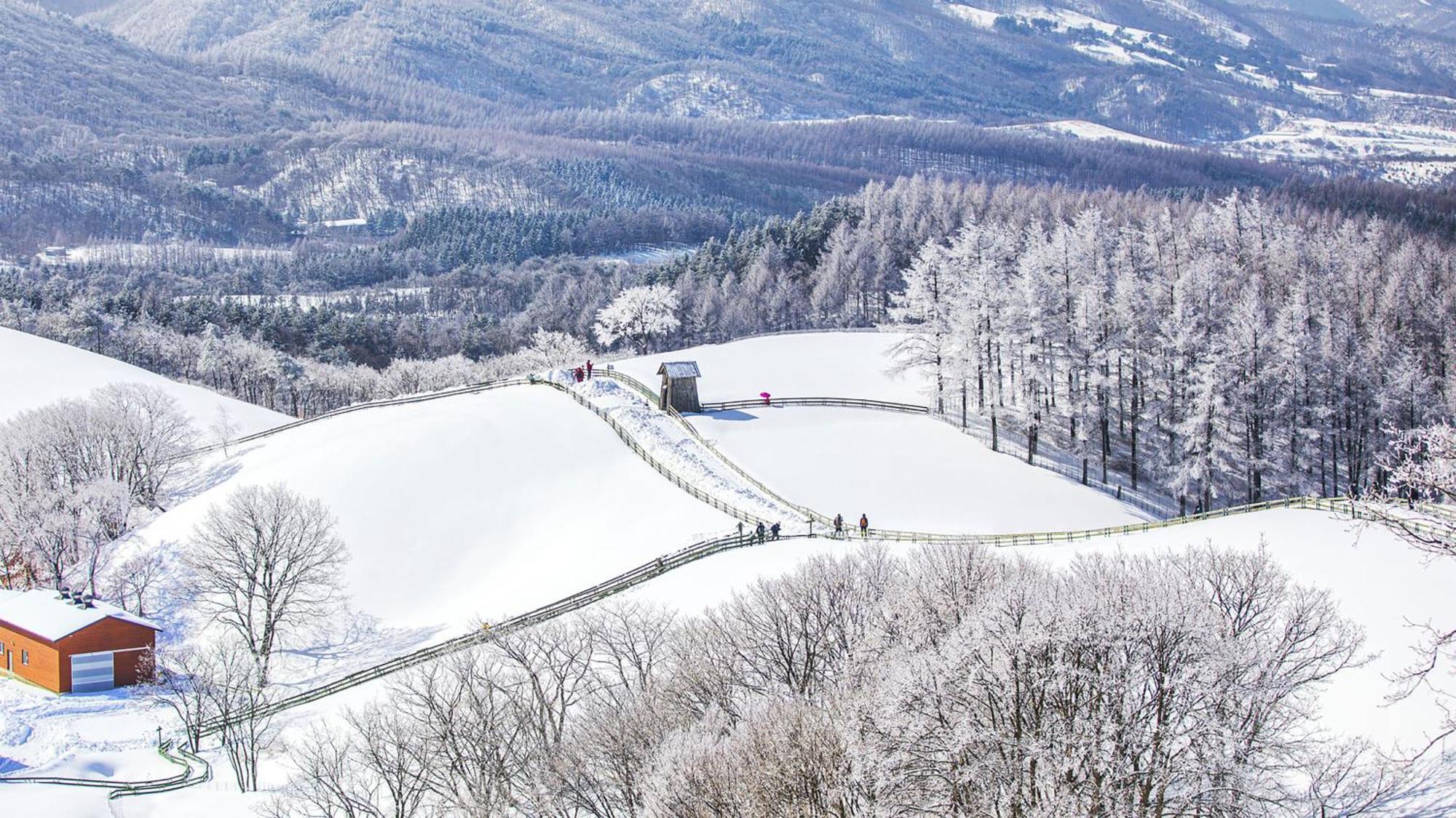 Holiday Inn Resort Alpensia Pyeongchang By Ihg Esterno foto